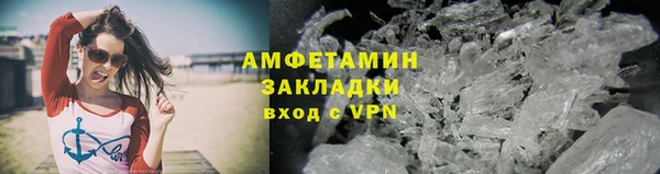 ГАЛЛЮЦИНОГЕННЫЕ ГРИБЫ Ельня