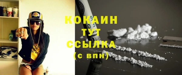 соль ск Алзамай