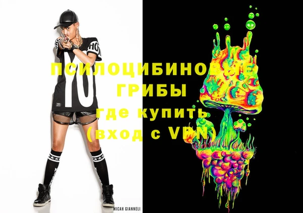 герыч Алексин