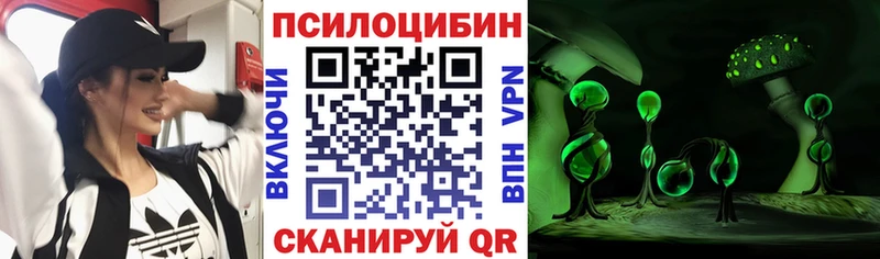 где можно купить наркотик  Кызыл  Псилоцибиновые грибы прущие грибы 